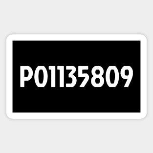 P01135809 Magnet